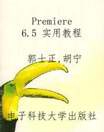 Premiere 6.5 实用教