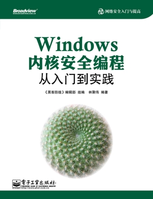 Windows内核安全编程