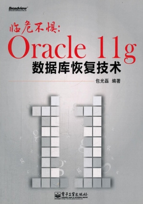 临危不惧：Oracle 11g数