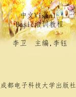 中文Visual Basic培训