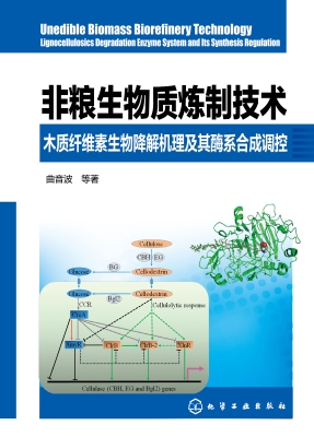 非粮生物质炼制技术—