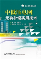 中低压电网无功补偿实