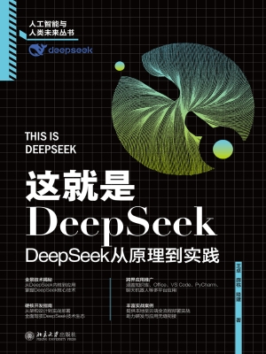 这就是DeepSeek：DeepSe