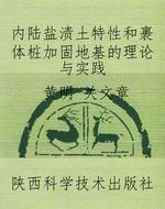 内陆盐渍土特性和裹体