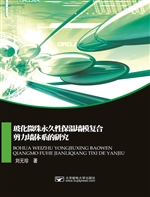玻化微珠永久性保温墙