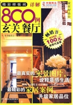 精彩样板间详解800例（