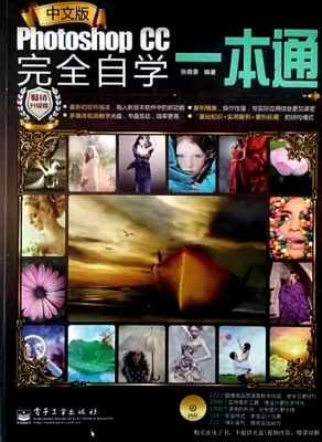 中文版Photoshop CC完