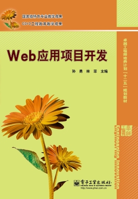 Web应用项目开发
