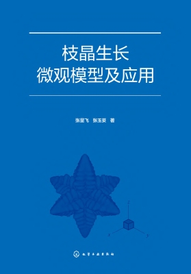 枝晶生长微观模型及应