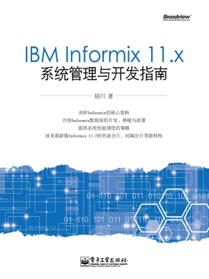 IBM Informix 11.x系