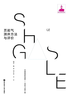 页岩气测井方法与评价