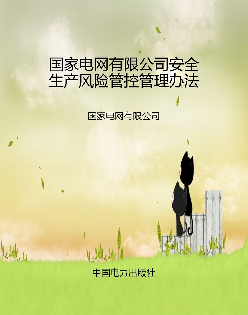 国家电网有限公司安全