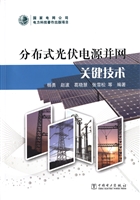 分布式光伏电源并网关