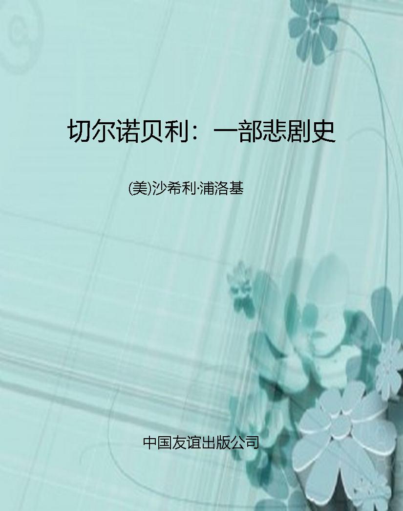 切尔诺贝利：一部悲剧史