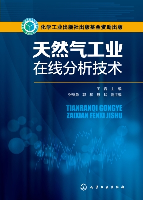天然气工业在线分析技