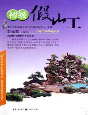 初级假山工