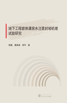 地下工程岩体涌突水注