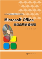Microsoft Office高级