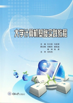大学计算机基础实践教