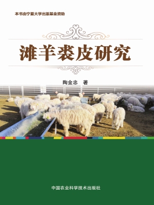 滩羊裘皮研究