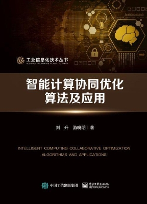 智能计算协同优化算法
