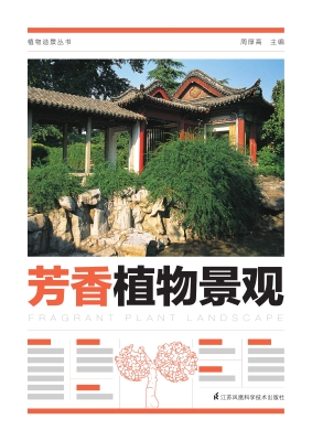 芳香植物景观