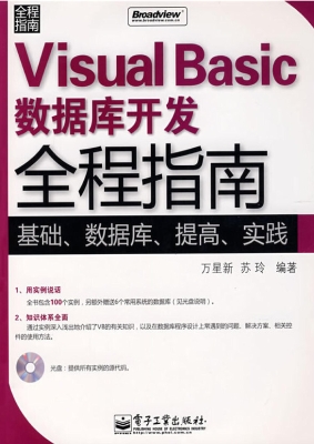 Visual Basic数据库开