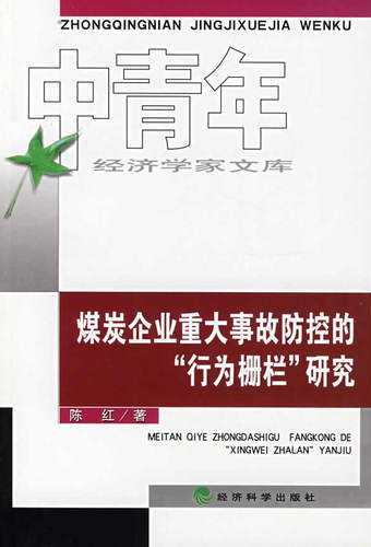 煤炭企业重大事故防控