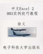中文Excel 2003实例技