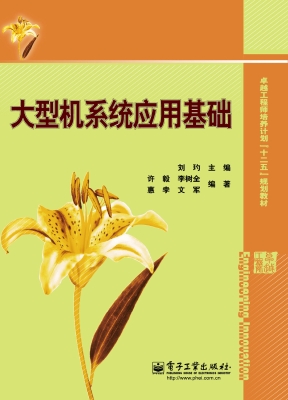 大型机系统应用基础