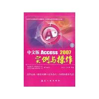 中文版Access2007 实