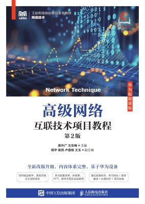 高级网络互联技术项目