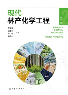 现代林产化学工程（第二