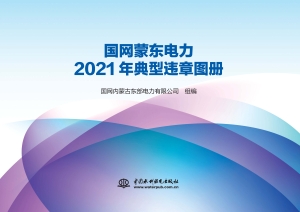 国网蒙东电力2021年典