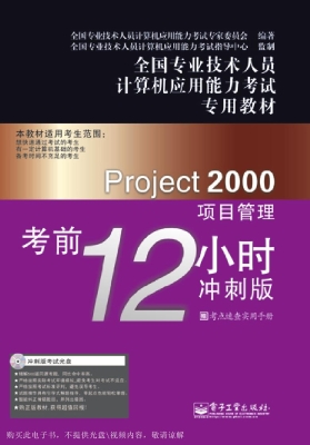 Project 2000项目管理