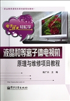 液晶和等离子体电视机