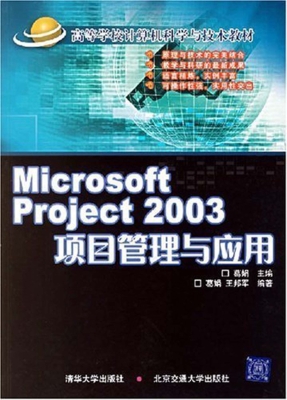 Microsoft Project 20