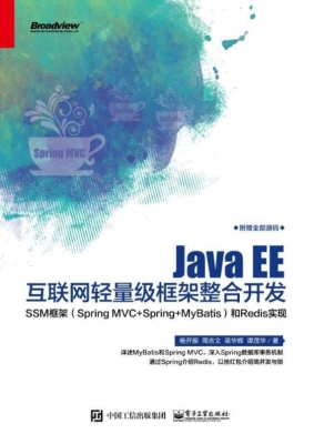 Java EE互联网轻量级