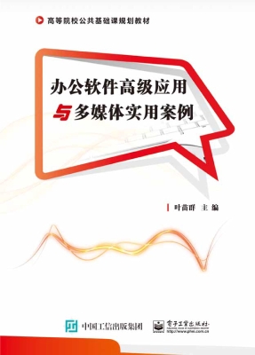 办公软件高级应用与多