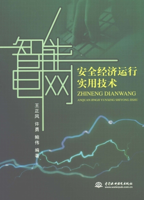 智能电网安全经济运行