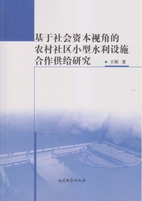 基于社会资本视角的农