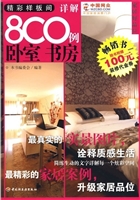 精彩样板间详解800例(