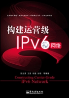 构建运营级IPv6网络