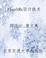 FlashMx设计技术