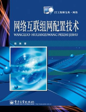 网络互联组网配置技术