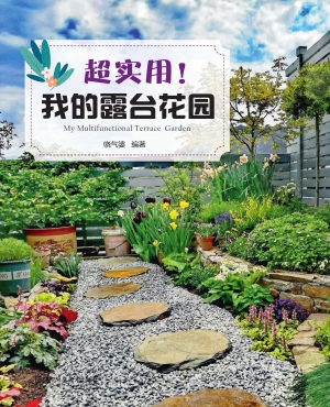 超实用！我的露台花园