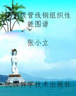 高钢级管线钢组织性能