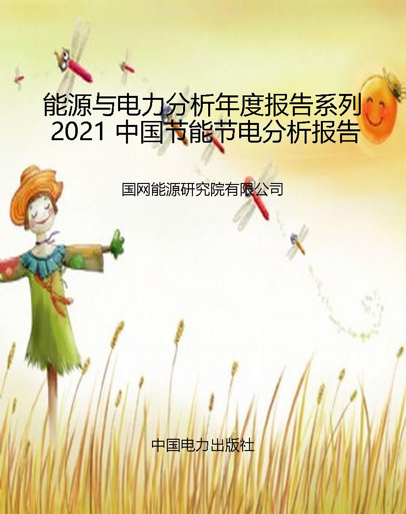 能源与电力分析年度报