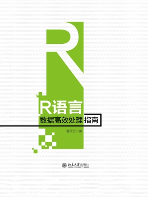 R语言数据高效处理指