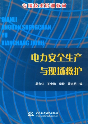 电力安全生产与现场救